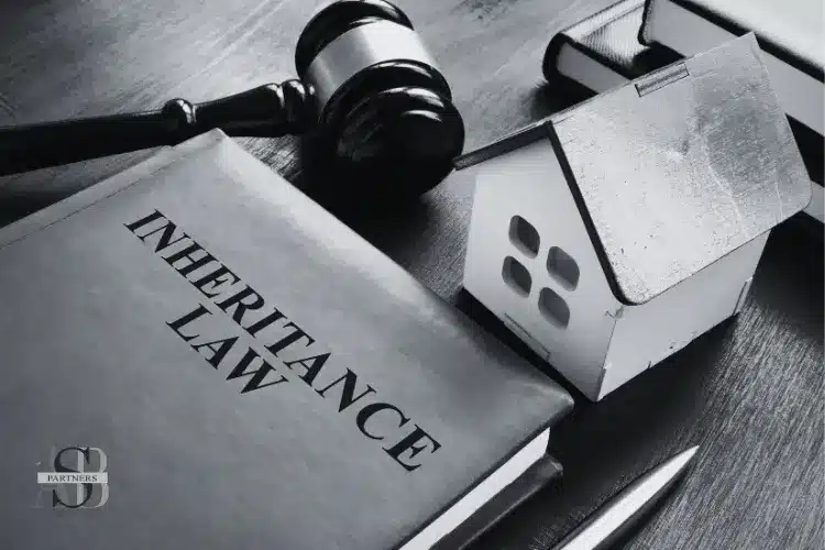 Inheritance law in turkey